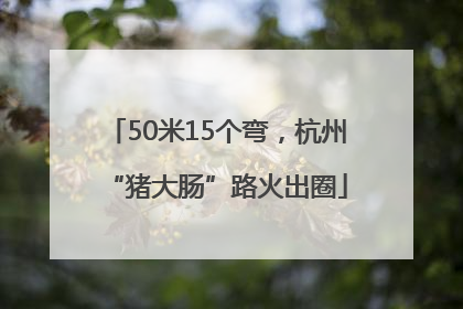 50米15个弯，杭州“猪大肠”路火出圈