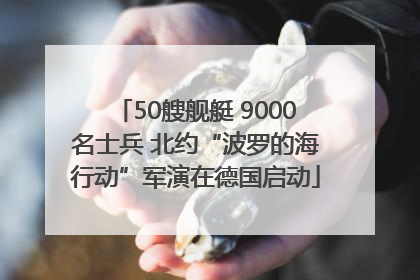 50艘舰艇 9000名士兵 北约“波罗的海行动”军演在德国启动
