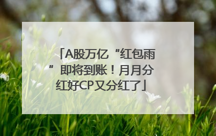 A股万亿“红包雨”即将到账！月月分红好CP又分红了