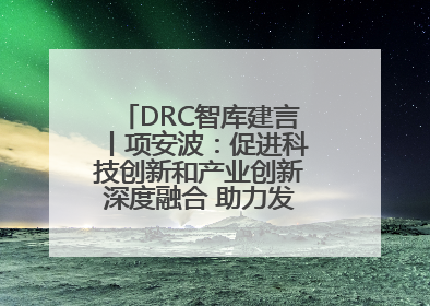 DRC智库建言丨项安波：促进科技创新和产业创新深度融合 助力发展新质生产力