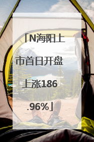 N海阳上市首日开盘上涨186.96%